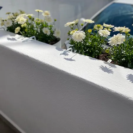 Maryland كافالا